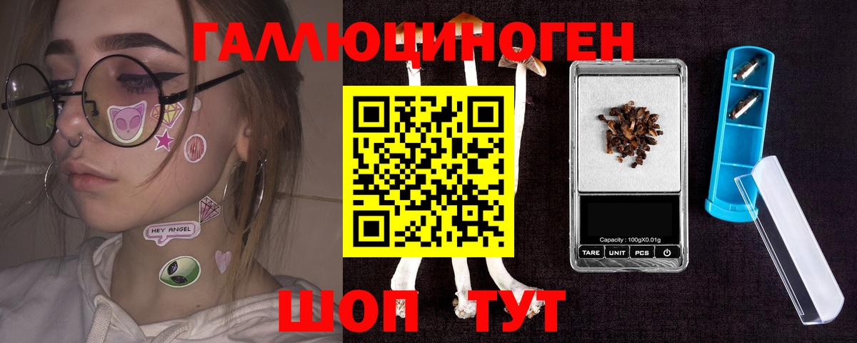 Качканар  Псилоцибиновые грибы Magic Shrooms  Вход с VPN 