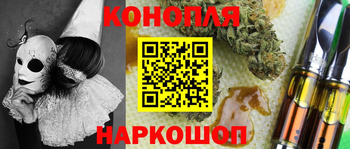 МАРИХУАНА планчик  Шишки марихуана сатива  Качканар  Вход с VPN 